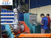 Valves Inspection