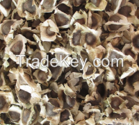 Moringa Seed From Nigeria