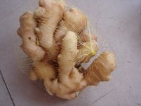 ginger