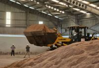 Palm Kernel Expeller From Indonesia