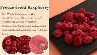 freeze dried fruits freeze-dried raspberries whole From Hong Kong