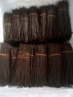 Vanilla beans From Sri Lanka