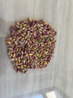 premium iranian pistachio& pistachio kernels  From UAE
