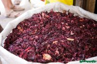 Premium Egyptian Hibiscus Flowers