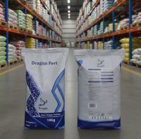 Dragon Fert From Jordan