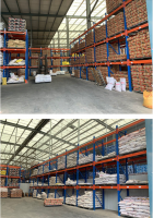 Carbon Steel Hex Bolt Grade 4.8 / 8.8 From China