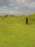 Crush Lump Sulphur From Canada