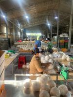 Vietnam Fresh Coconut