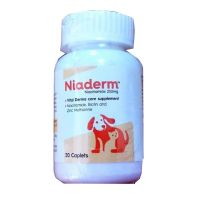 Skip to the beginning of the images gallery Vvaan Niaderm Niacinamide 500mg 30 Caplets From India