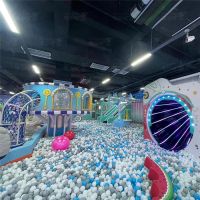 Indoor Children's Playground Space