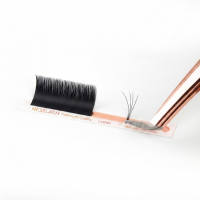 Mink Black Eyelash Extensions Soft Korean PBT Lash Wholesale Professional Lash Trays
