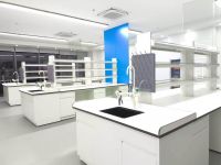 Steel Wood Laboratory Bench / Lab Workbench