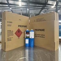 400G Propane MAPP PRO China OEM