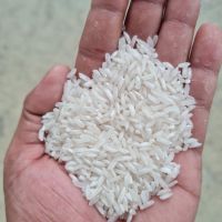 Long Grain White Rice 5-50