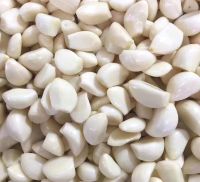 frozen garlic