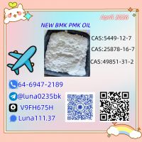 1.High Quality CAS 49851-31