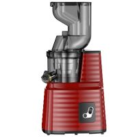250W Cold Press Slow Juicer with 80mm Large Feed Chute, 650ml Capacity, CE Certified