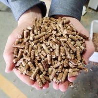 Hot Selling Pine Wood Pellets 15kg