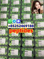 Semaglutide (910463-68-2): Revolutionizing Weight Loss Management