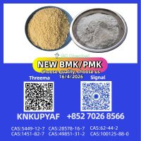 CAS PMK 28578-16-7 Under