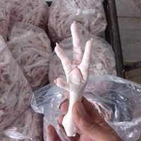 Premium Grade Frozen Chicken Feets And