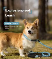 Reflective Nylon Dog Leash, 5FT Durable