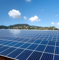 N-type Half-cell Bifacial Module (66)