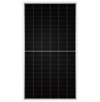 N-type Half-cell Bifacial Module