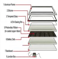 N-type Dual Glass Monocrystalline Module