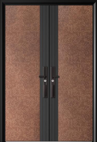 Non standard door series anti-theft door entry door with fingerprint lock door