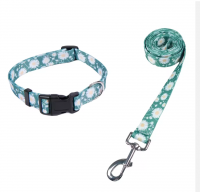 Luxury Custom Dog Collar and Leash Set