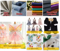 Custom Logo Luxury Warm Dog Clothes, Fashion Soft Durable Pet Apparel for Small Medium Dogs