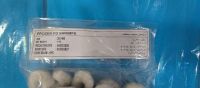 FROZEN SHRIMPS AVAILABLE IN DUBAI