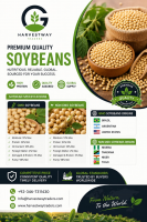 Soybeans