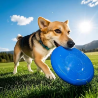 Durable Dog Flying Discs