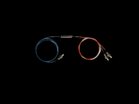 PM DWDM
