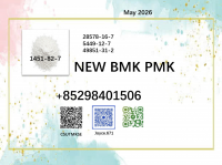 PMK CAS 28578-16-7/ Integrated