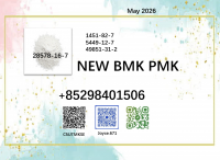 Cas 28578-16-7 BMK Oil
