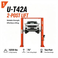 Professional Heavy Duty 2-Post Lifter