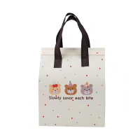 Eco-Friendly Recycled Non-Woven Cooler