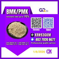 BMK/PMK CAS:28578-16-7