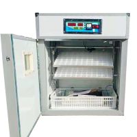  Leading Electric 176 egg incubator Supplier selection guide 