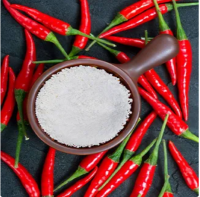 è¾£æ¤’ç´  Capsaicin CAS 404-86-4
