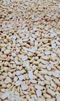 Roasted Peanuts, Roasted Salted Peanuts