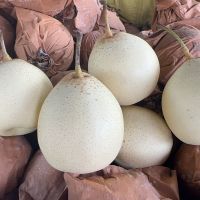 Ya Pear