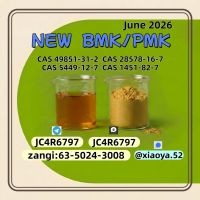 Buy 28578-16-7 PMK Chemical Suppliers Factory Direct Supply 5449-12-7 In Bulk