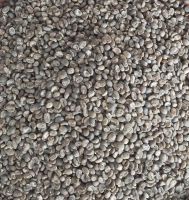 Green Bean Coffee Arabica Gayo