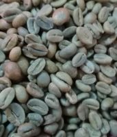 Green Bean Arabica Java Indonesia