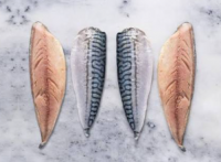 Premium Frozen Mackerel Fillets IQF Skin
