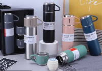Stainless Steel Water Bottle